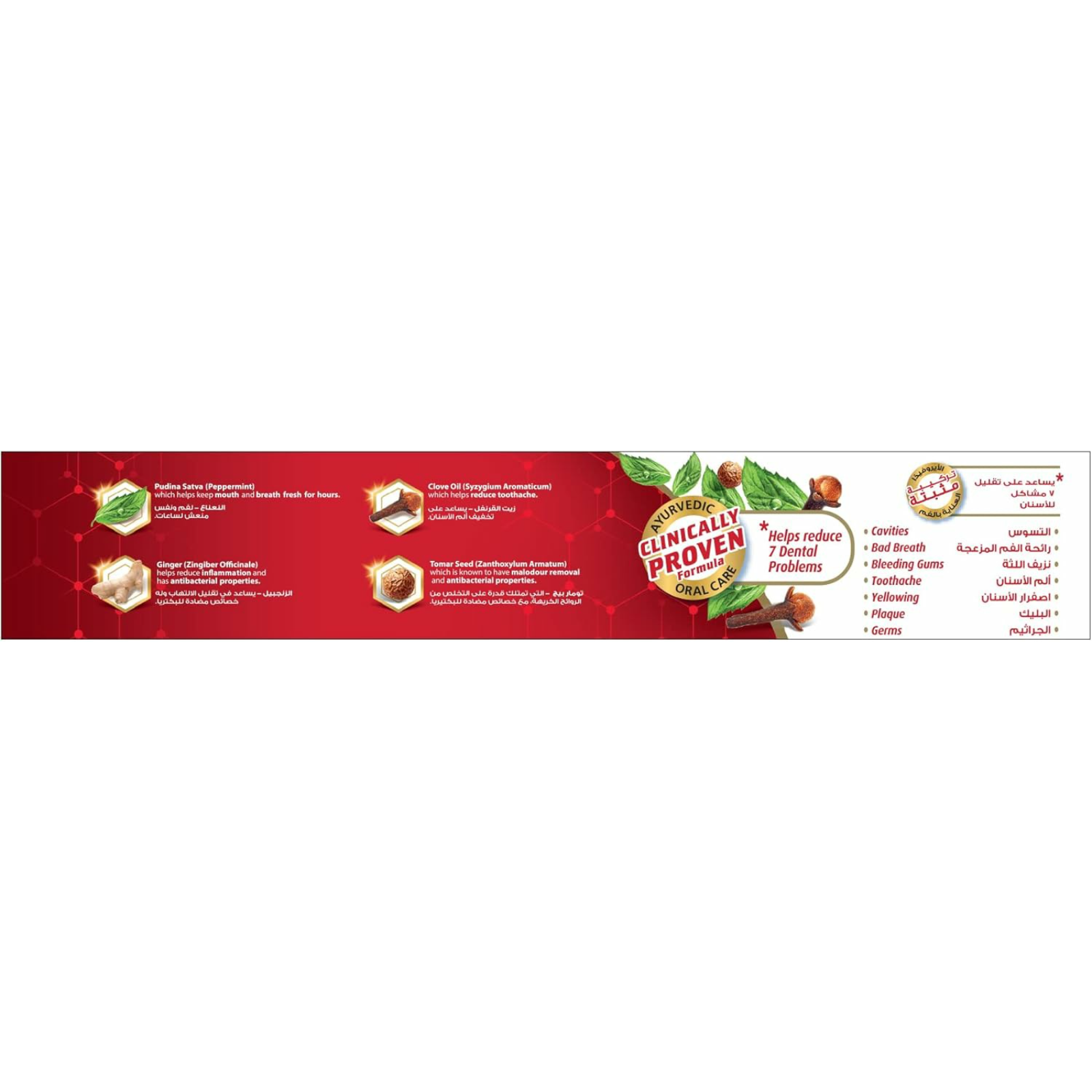 Dabur Red Ayurvedic Toothpaste 100gm - ZaDa beauty