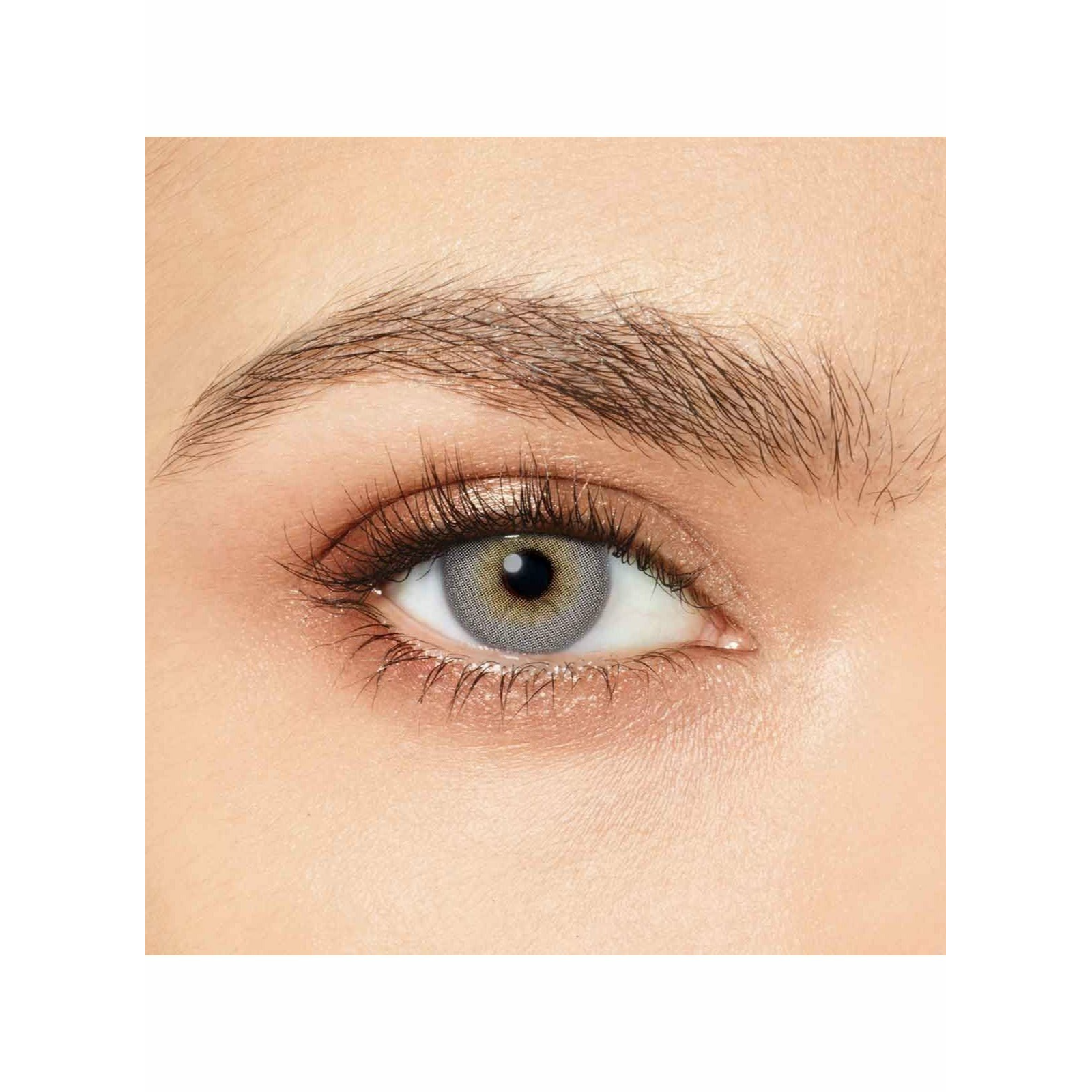 Desio Daily Eye lenses Precious Grey - ZaDa beauty