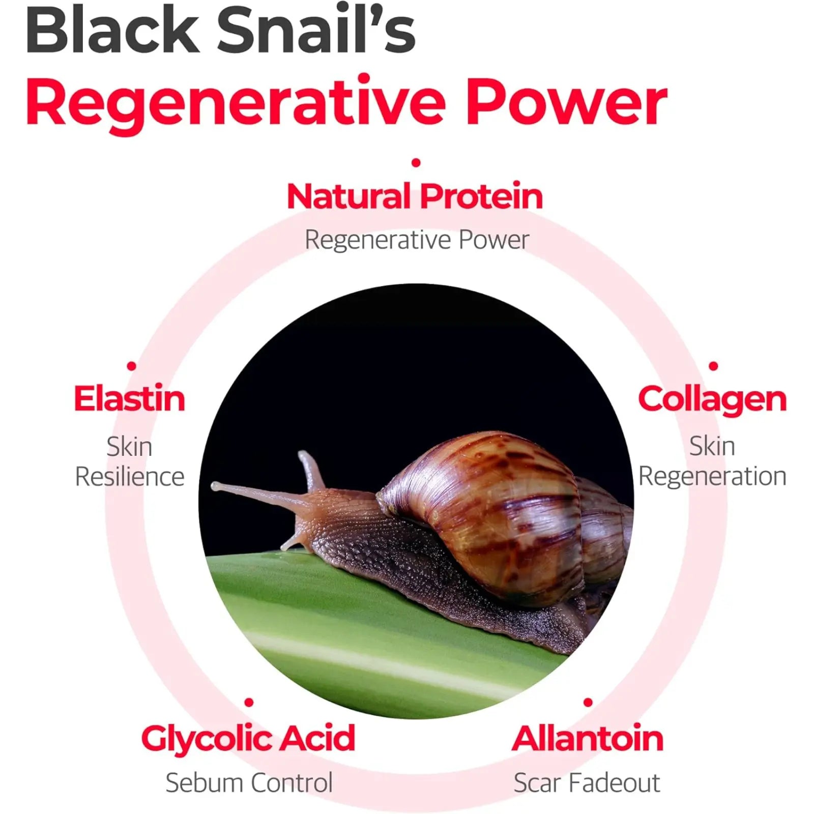 SOME BY MI Truecica Snail Miracle Repair Cream 60ml